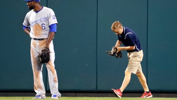 rally-cat-best-animals-on-field-3.jpeg